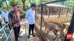 Kebun Binatang RI Bakal Berubah Drastis!