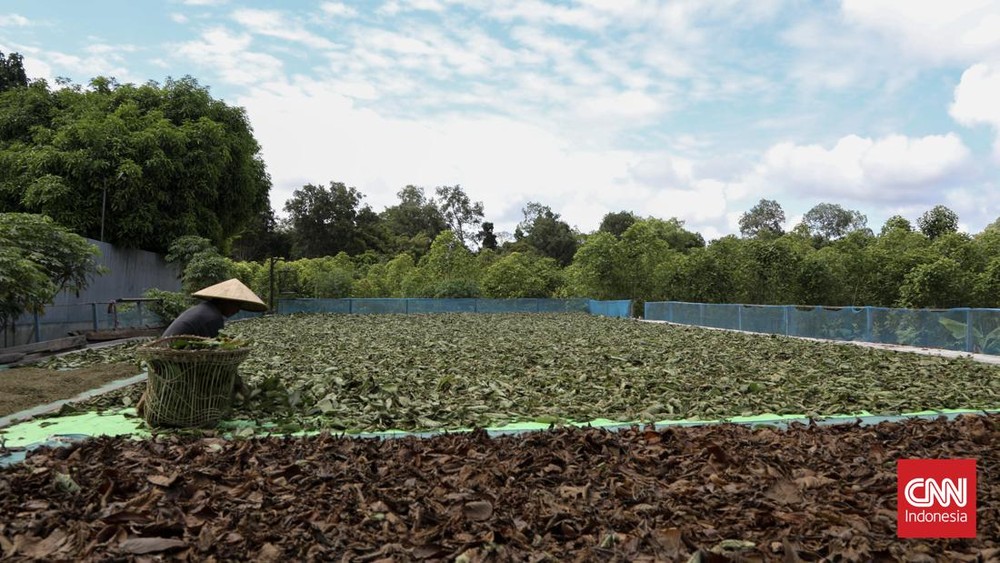 Miris! Rekening Petani Dipakai Judi Online