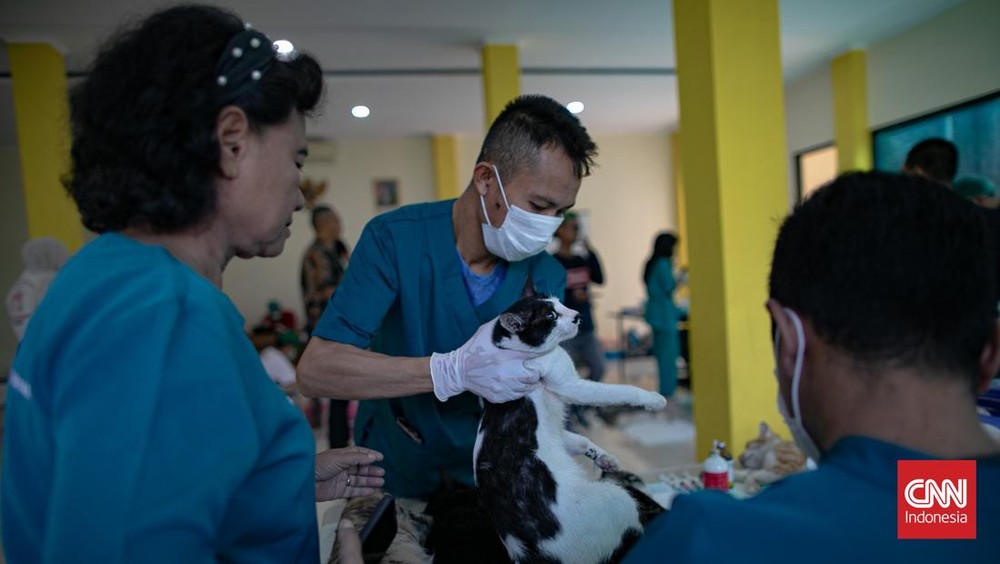 Heboh! BPJS Hewan Gratis di Jakarta?