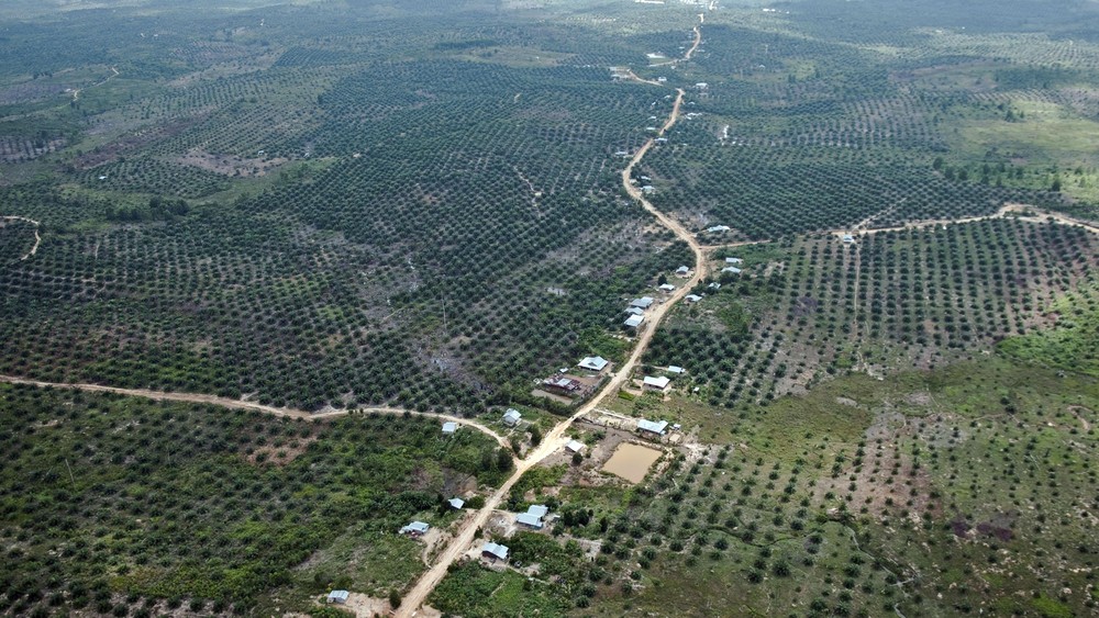Pendidikan Anak Tesso Nilo Terancam? Ini Kata Kemenham! 1 Pendidikan Anak Tesso Nilo Terancam? Ini Kata Kemenham!
