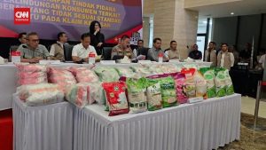 Geger! 5 Merek Beras Premium Oplosan Terbongkar!