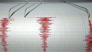 Gempa 4,8 SR Guncang Sulut, Warga Panik!