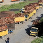 Wagub Aceh Tanya Sopir Truk: Sudah Makan?