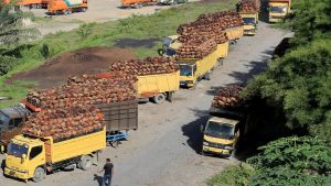 Wagub Aceh Tanya Sopir Truk: Sudah Makan?