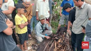 Misteri! Pemuda Hilang, Ditemukan Jadi Kerangka di Pohon