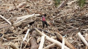 Panja Alih Fungsi Lahan Dibentuk DPR! Ada Apa?