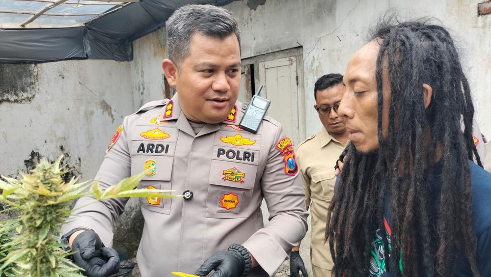 Jombang Geger! Kontrakan Jadi Pabrik Ganja Canggih 1 Jombang Geger! Kontrakan Jadi Pabrik Ganja Canggih