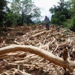 Maut! Banjir Bandang Kirim Kayu, Rumah Lenyap!