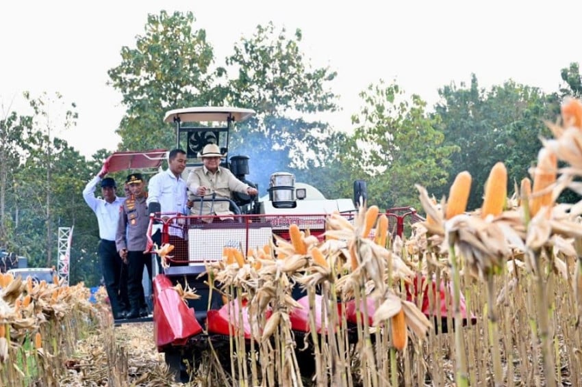 Presiden Prabowo Beraksi Bak Koboi di Tuban! 1 Presiden Prabowo Beraksi Bak Koboi di Tuban!