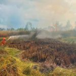 Lahan di Kalsel Ludes 14,8 Ha! Karhutla Kian Mengkhawatirkan