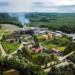 Revolusi Energi! Sawit Indonesia Siap Guncang Dunia