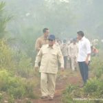 Prabowo Tak Main-main! Izin 4 Korporasi Terancam Dicabut
