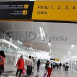 Langit Kacau! Abu Krakatau Ancam Penerbangan Nasional
