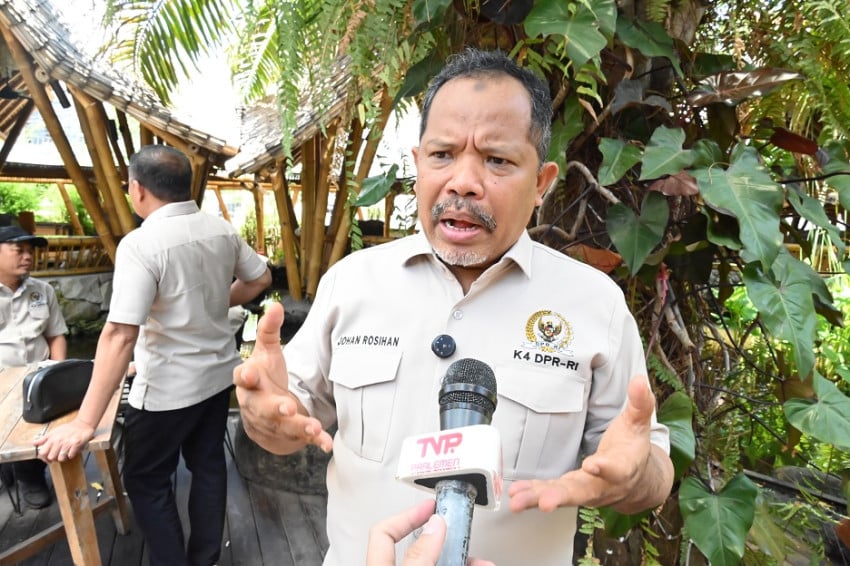 DPR Geger! Ribuan Ton Udang Disegel KKP, Ada Apa?