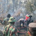 Viral! Aksi TNI di Karhutla & Bencana Raih Apresiasi!