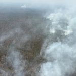 Kalteng Membara, 17 Ribu Hektare Belum Padam!