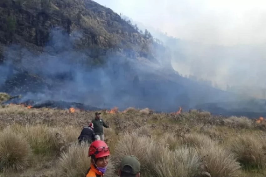 Tragedi Bromo: 6 Petugas Gugur, BNPB Evaluasi Total!