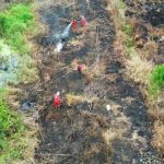 Bikin Miskin Perusahaan Pembakar Hutan!