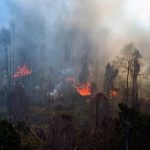 Pelaku Karhutla Bakal Disebut Teroris?