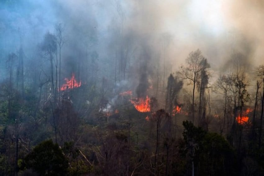 Pelaku Karhutla Bakal Disebut Teroris?