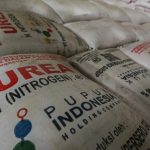 Petani Senang! Harga Pupuk Anjlok 20 Persen