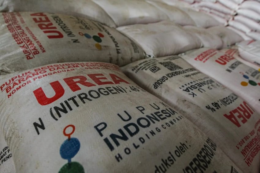 Petani Senang! Harga Pupuk Anjlok 20 Persen