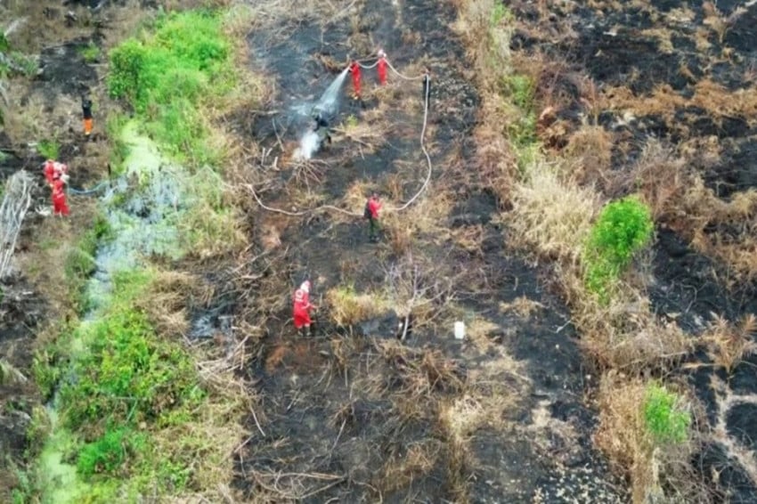 Kalimantan Membara, 18 Ribu Hektare Lahan Terbakar!