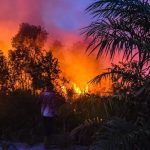 Solusi Karhutla: Kolaborasi & Hukum Tegas!