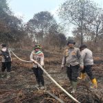 Tragedi Karhutla: Nyawa Petugas Melayang!