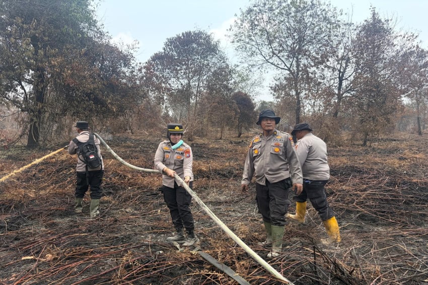 Tragedi Karhutla: Nyawa Petugas Melayang!